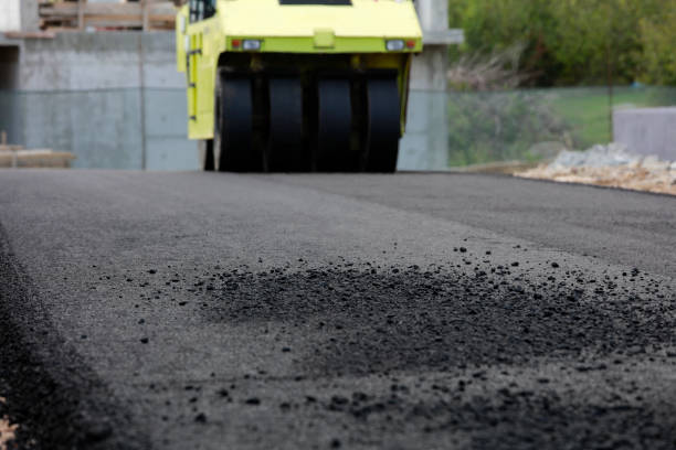 Best Local Driveway Pavers  in Pitola, CA